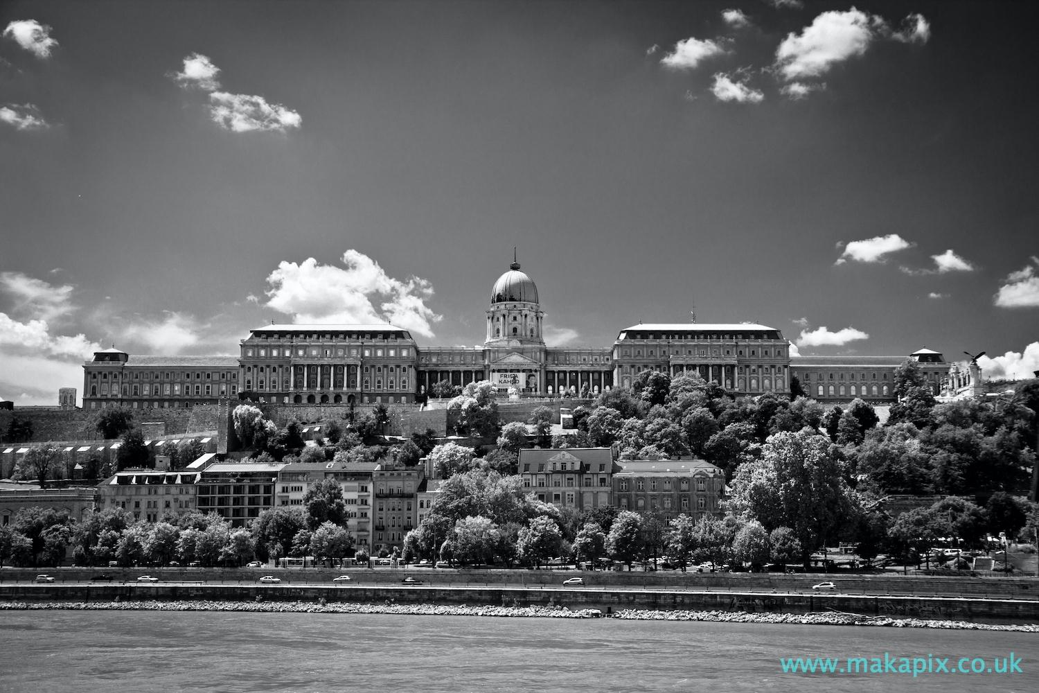 Budapest Castle in black and white
