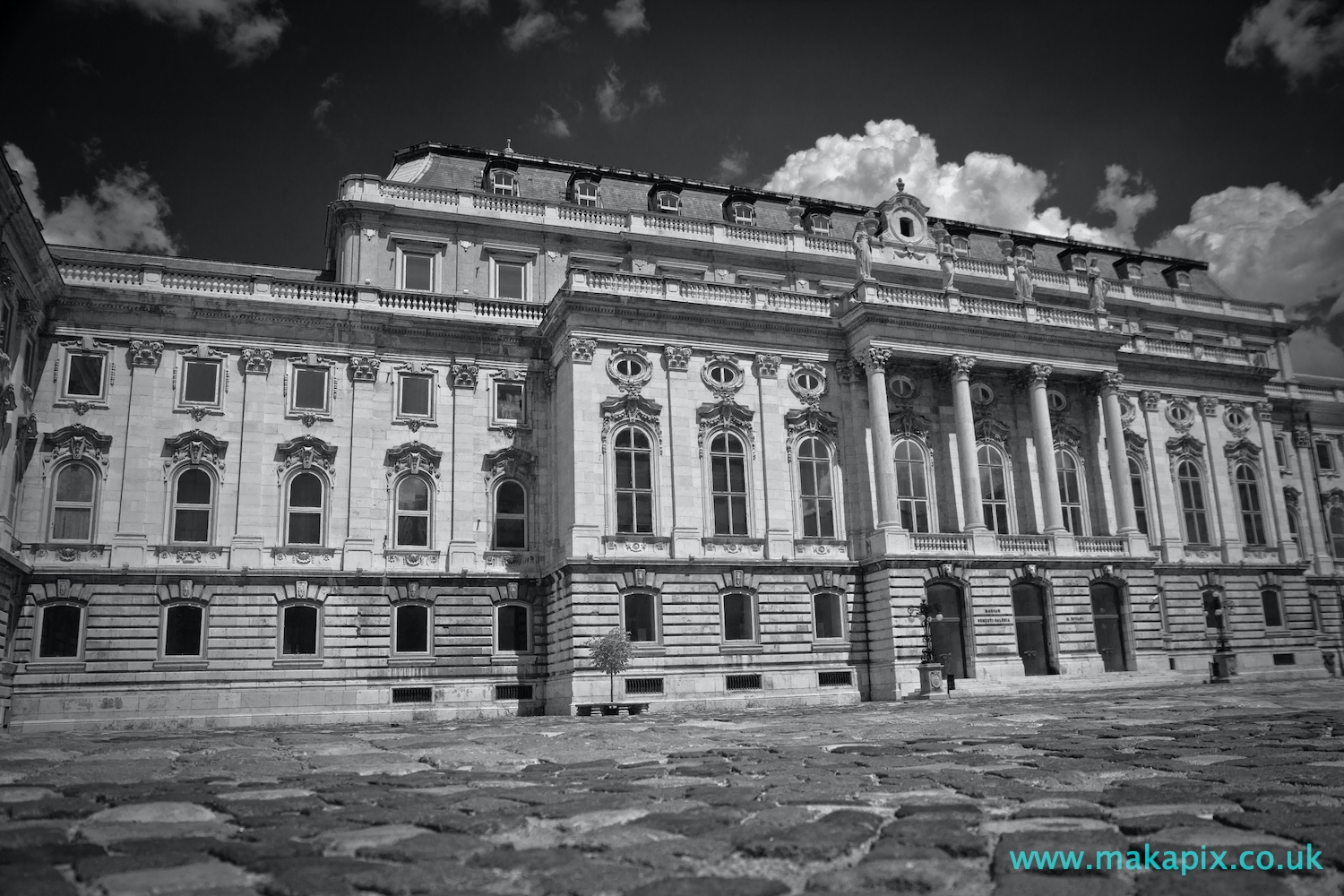 Budapest Castle in black and white