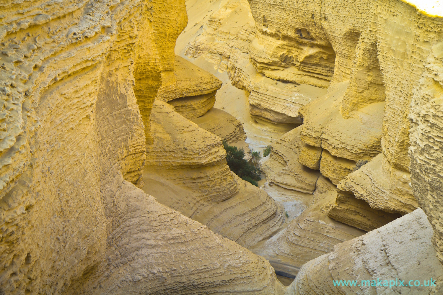 Canon de los Perdidos - The Lost Canyon, Peru