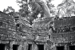 Angkor in black and white