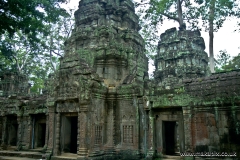 Ta Prohm Temple, Angkor, Cambodia