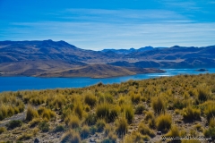 Peru landscape