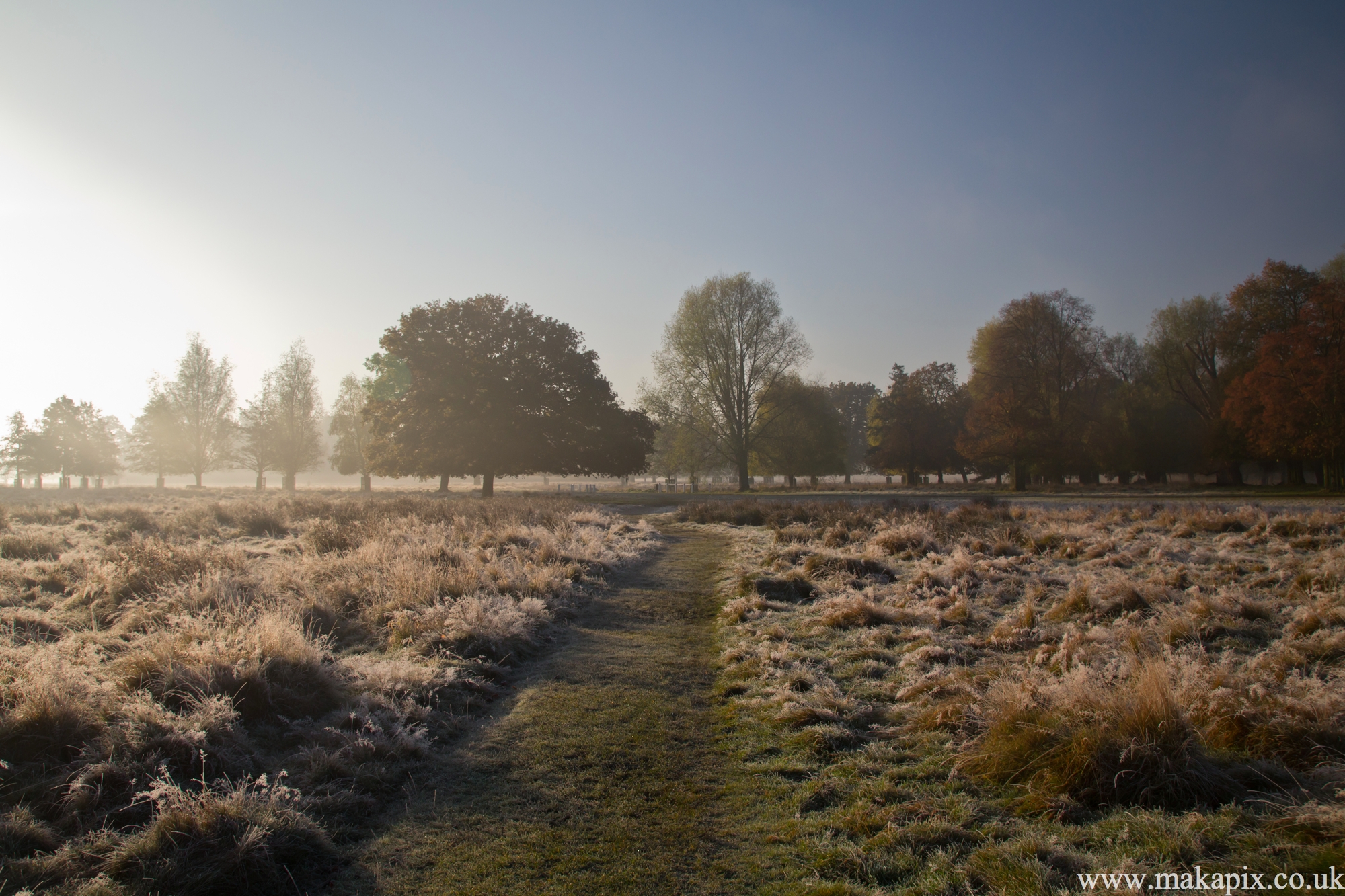 bushy park, london 2012