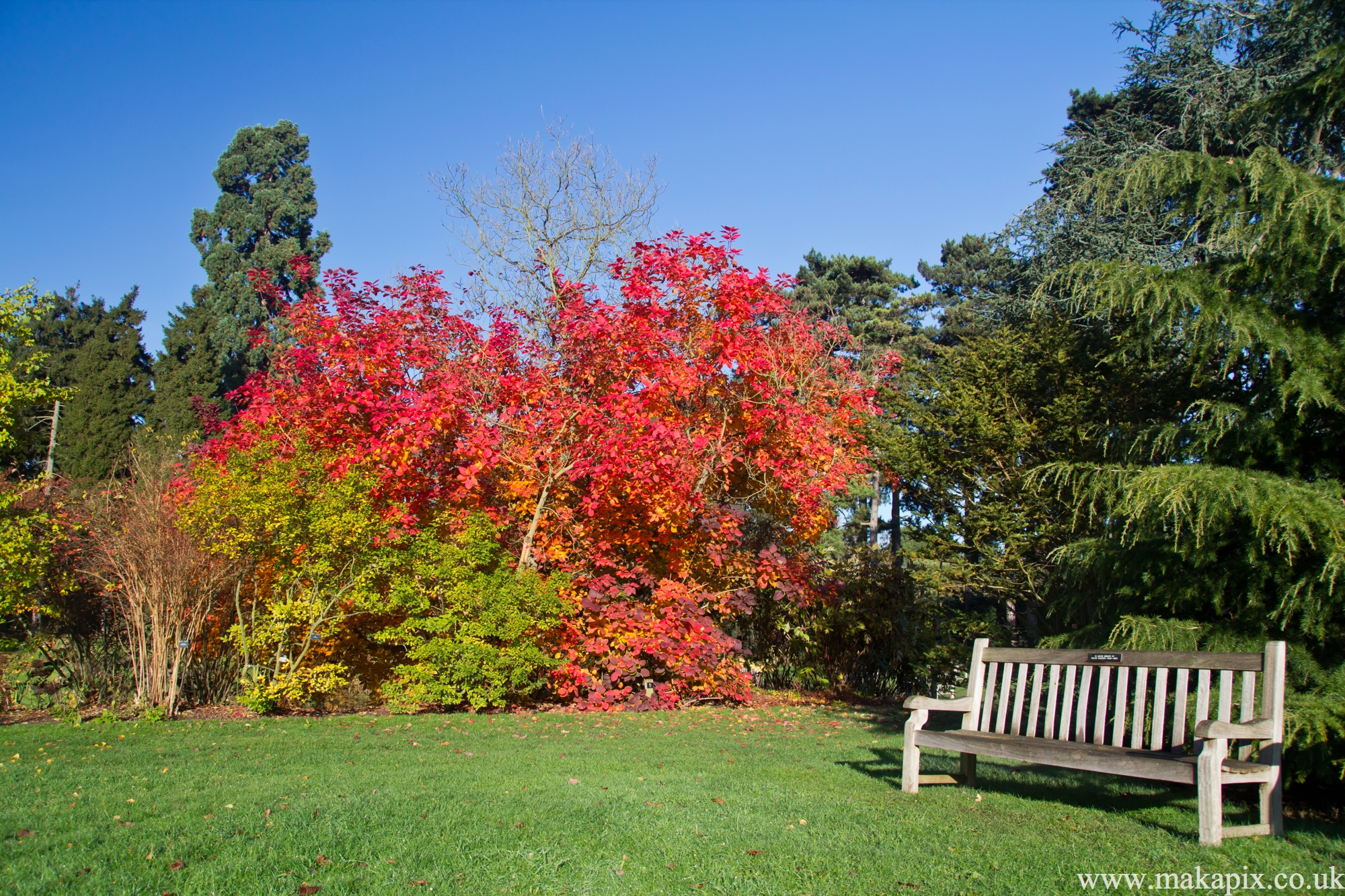 kew gardens, london 2012