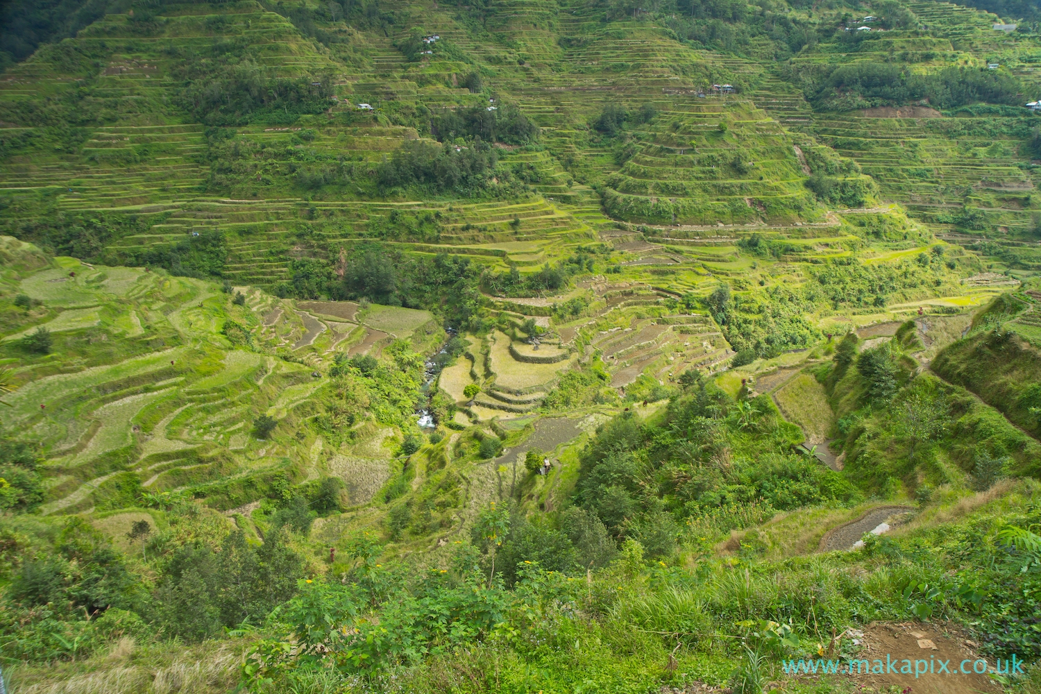 Batad Rice Terraces