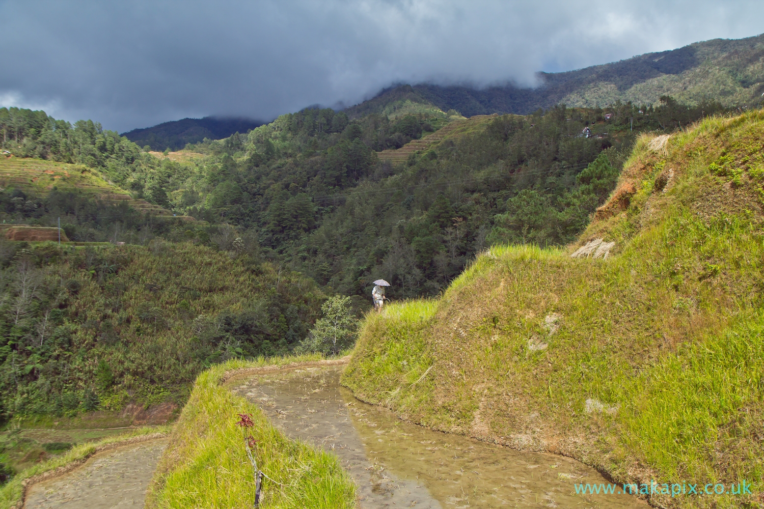 Batad Rice Terraces