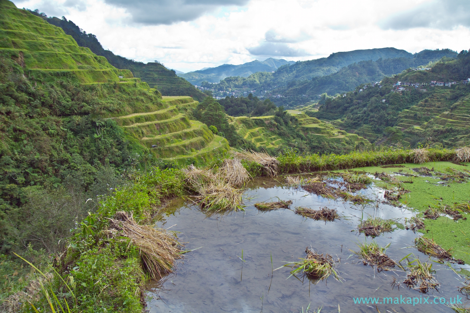 Batad Rice Terraces