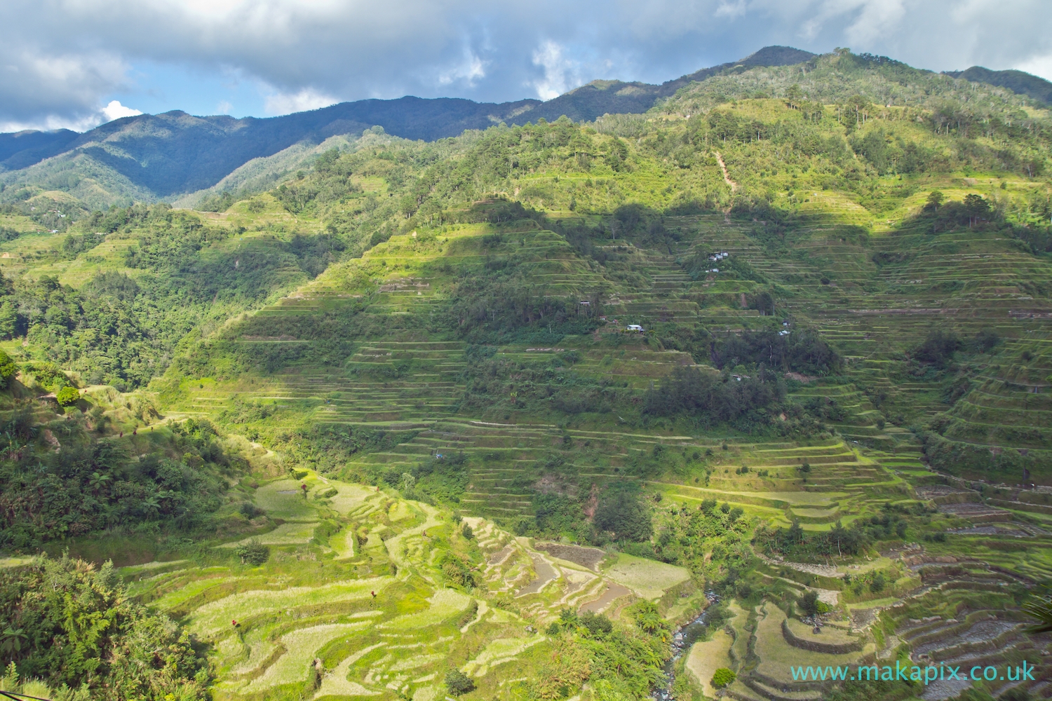 Batad Rice Terraces