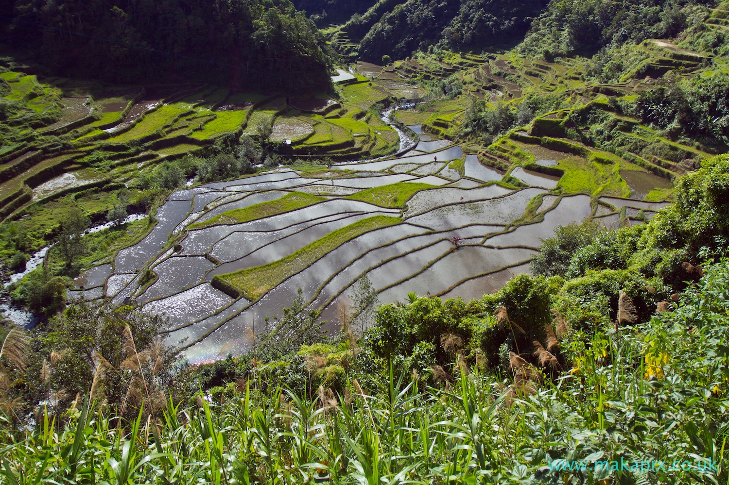 Batad Rice Terraces