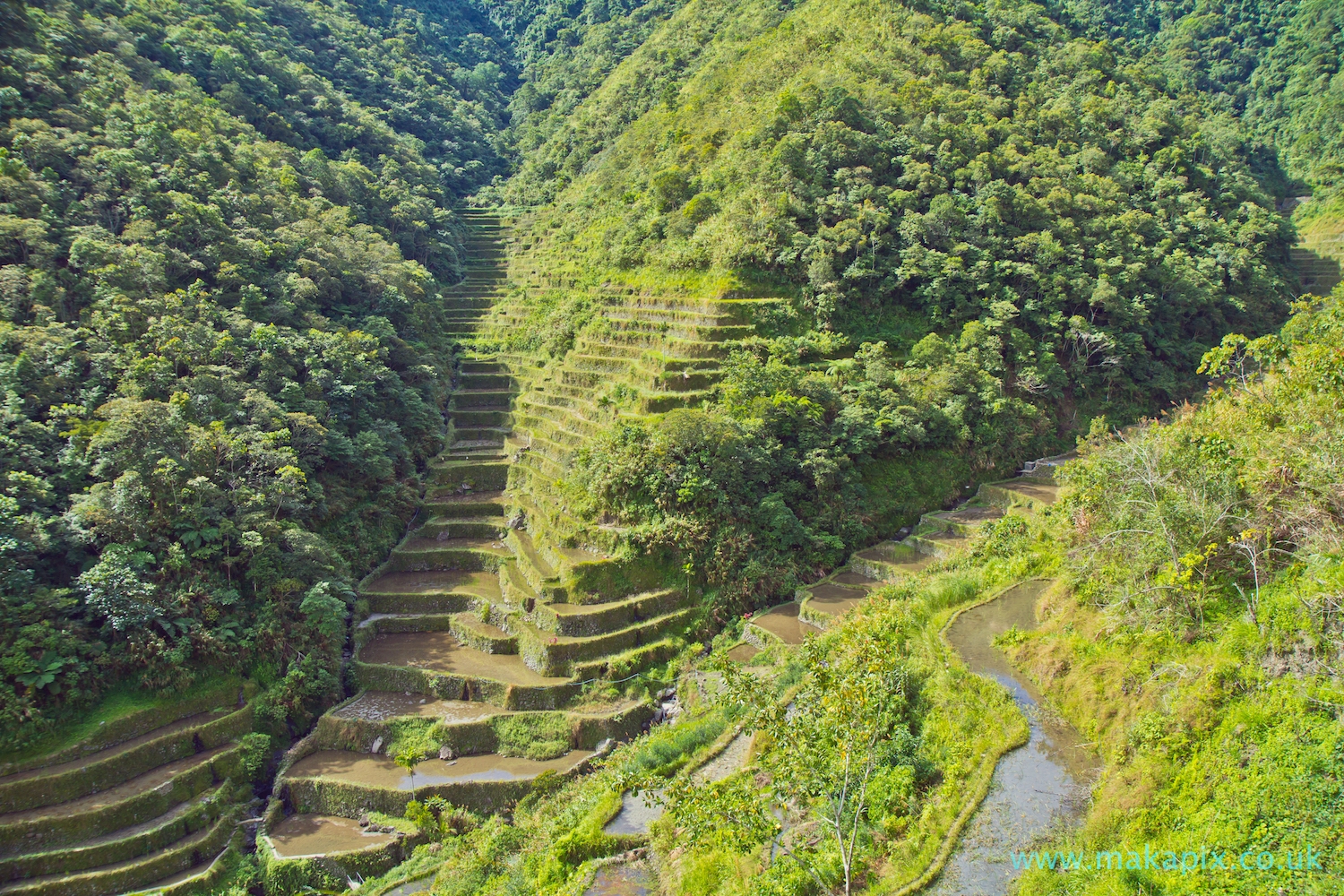 Batad Rice Terraces