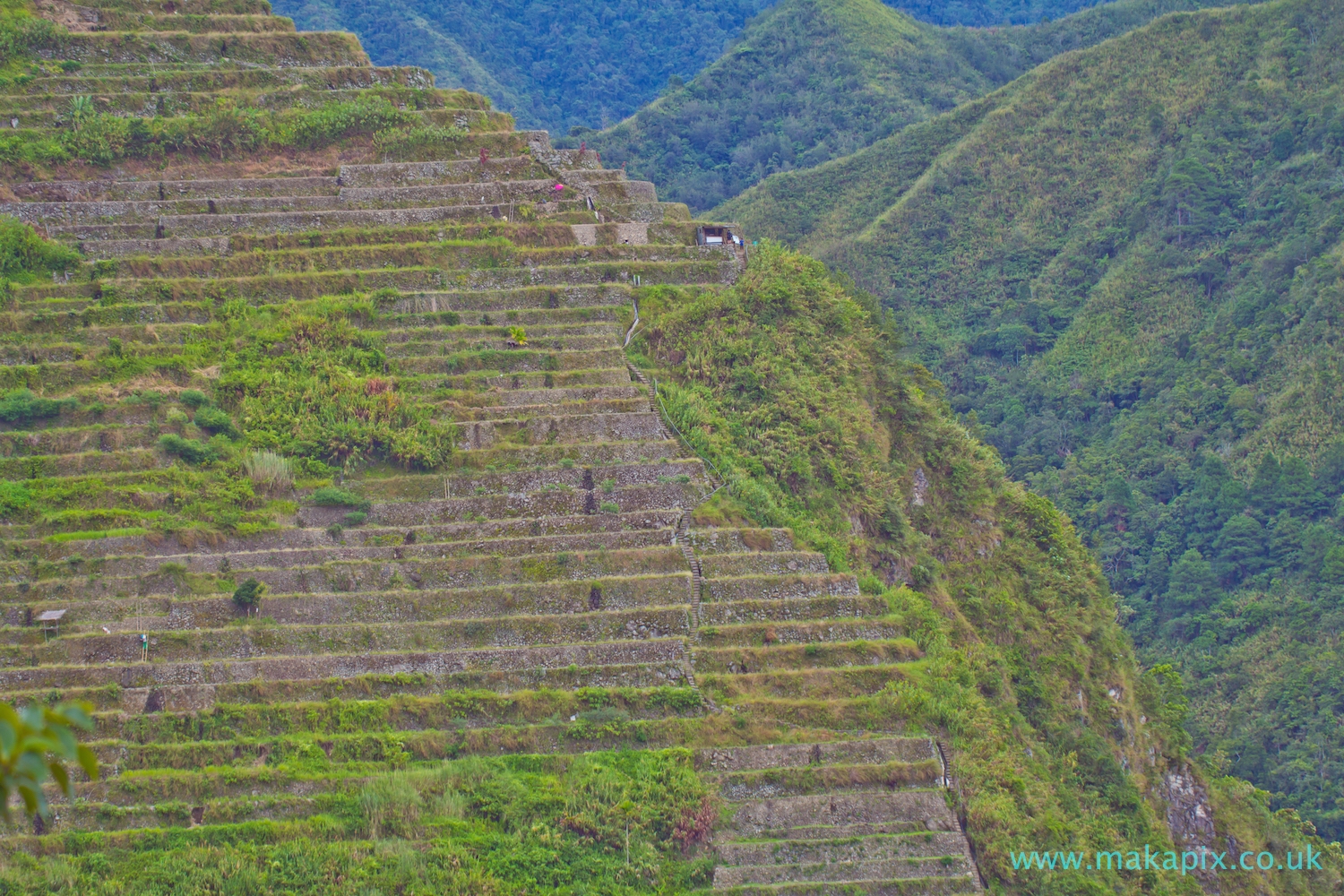 Batad Rice Terraces