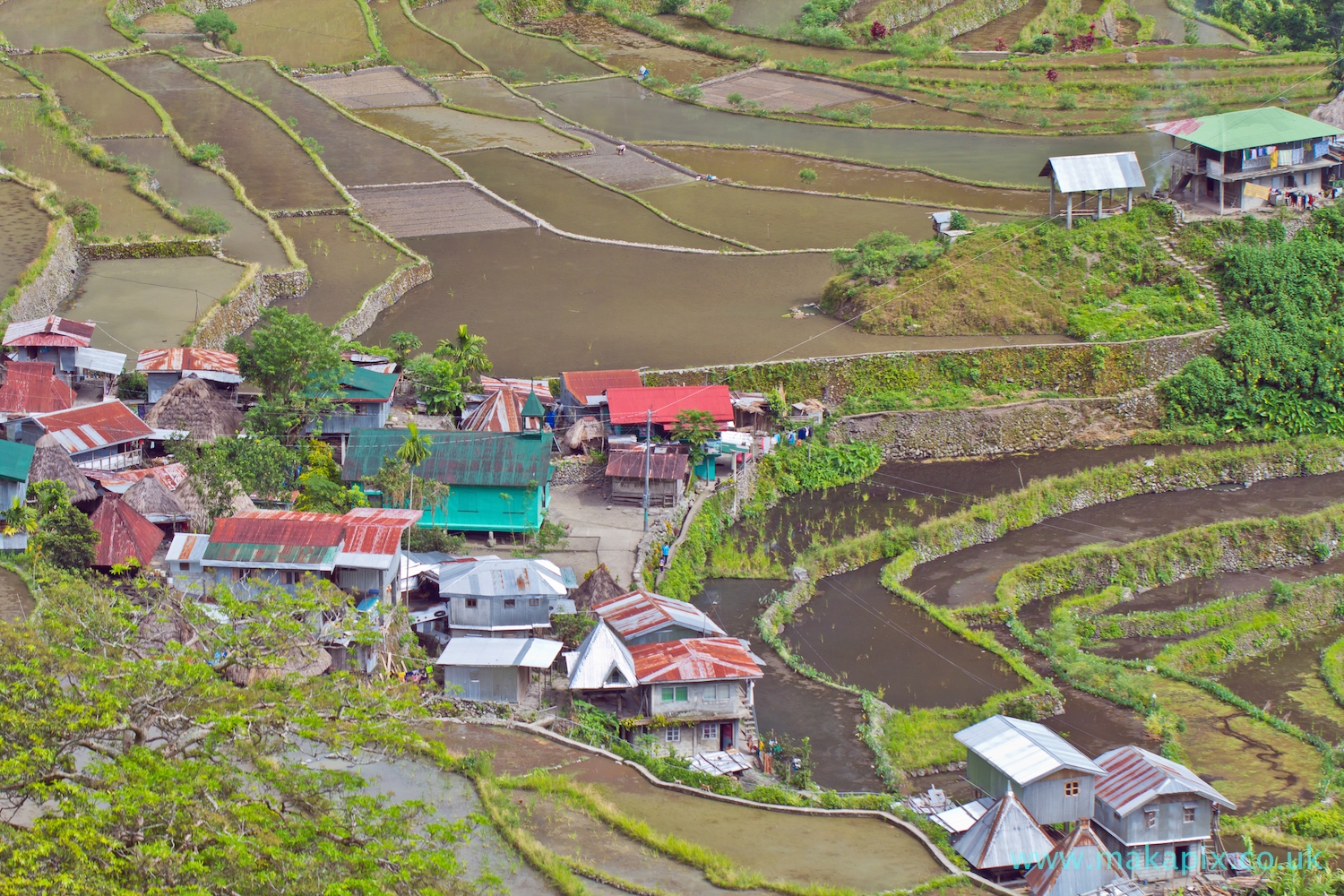 Batad Rice Terraces