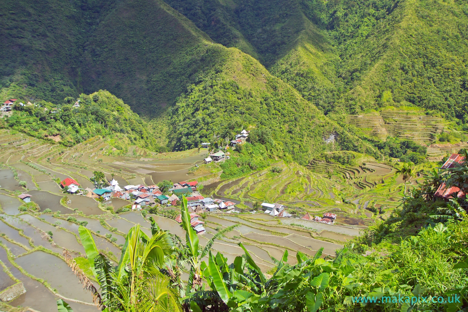 Batad Rice Terraces