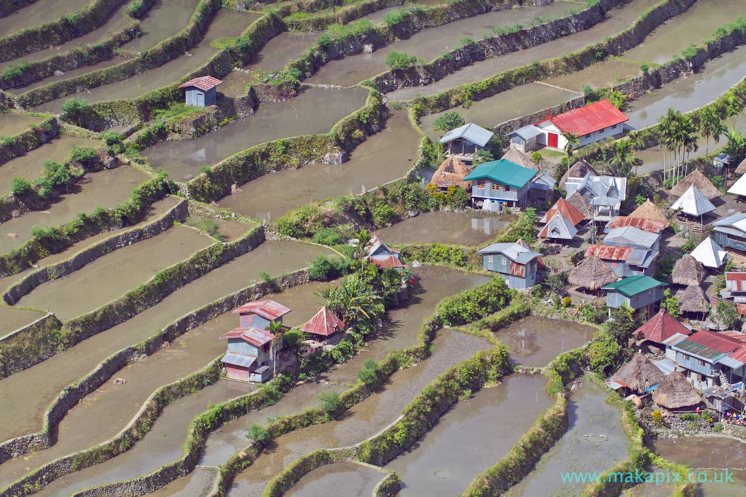 Batad Rice Terraces