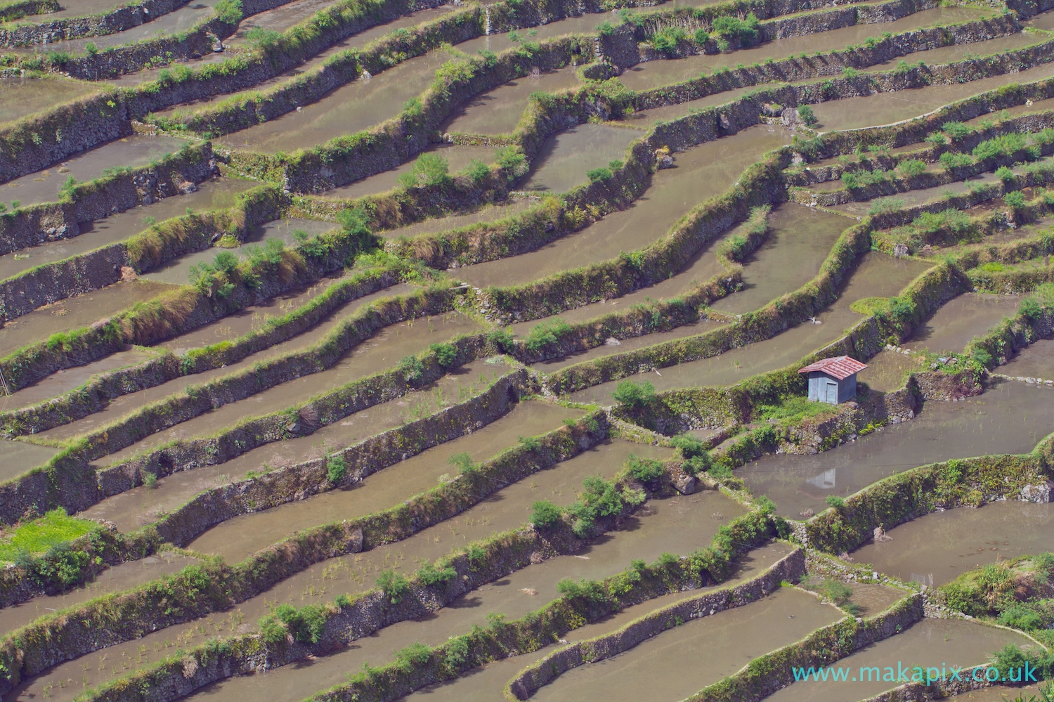 Batad Rice Terraces