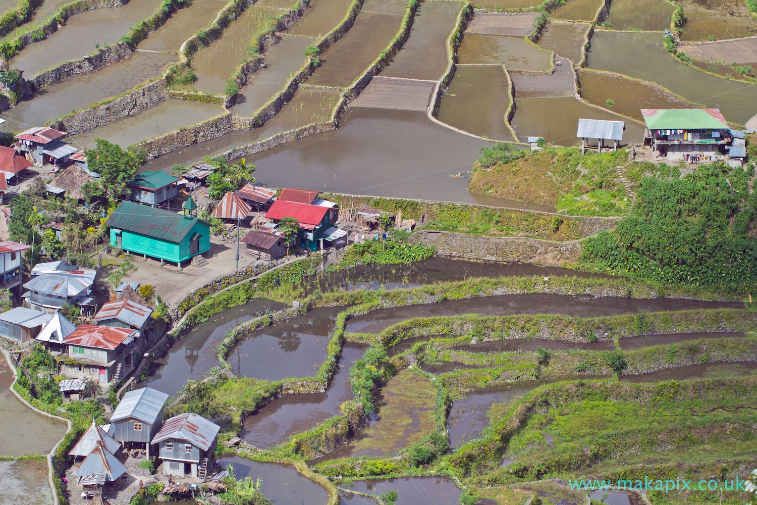 Batad Rice Terraces