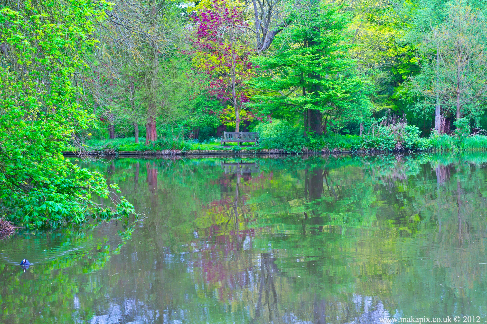 Bushy Park, Teddington