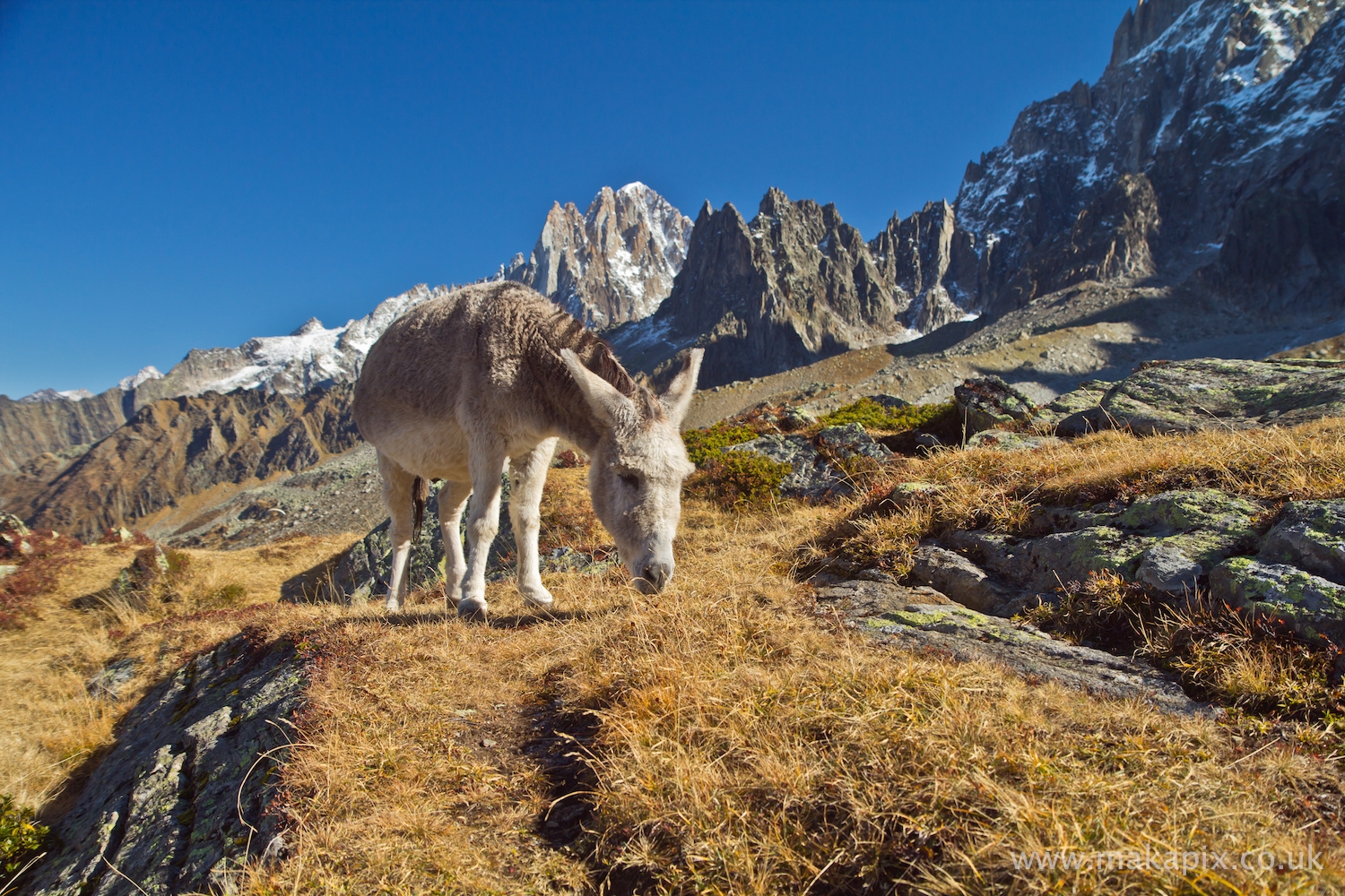 Chamonix