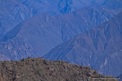 Colca Canyon, Peru, famed as one of the world's deepest