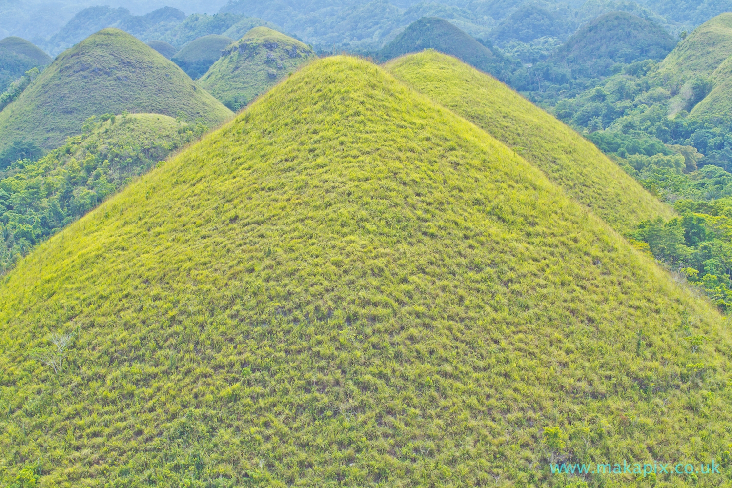 Chocolate Hills, Bohol