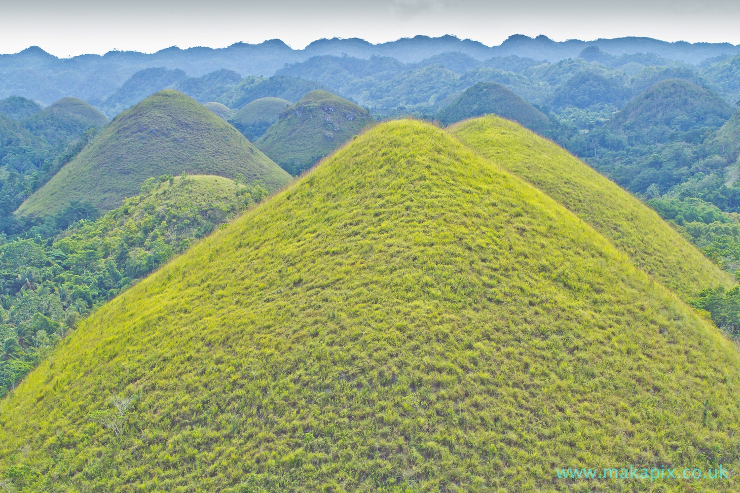 Chocolate Hills, Bohol