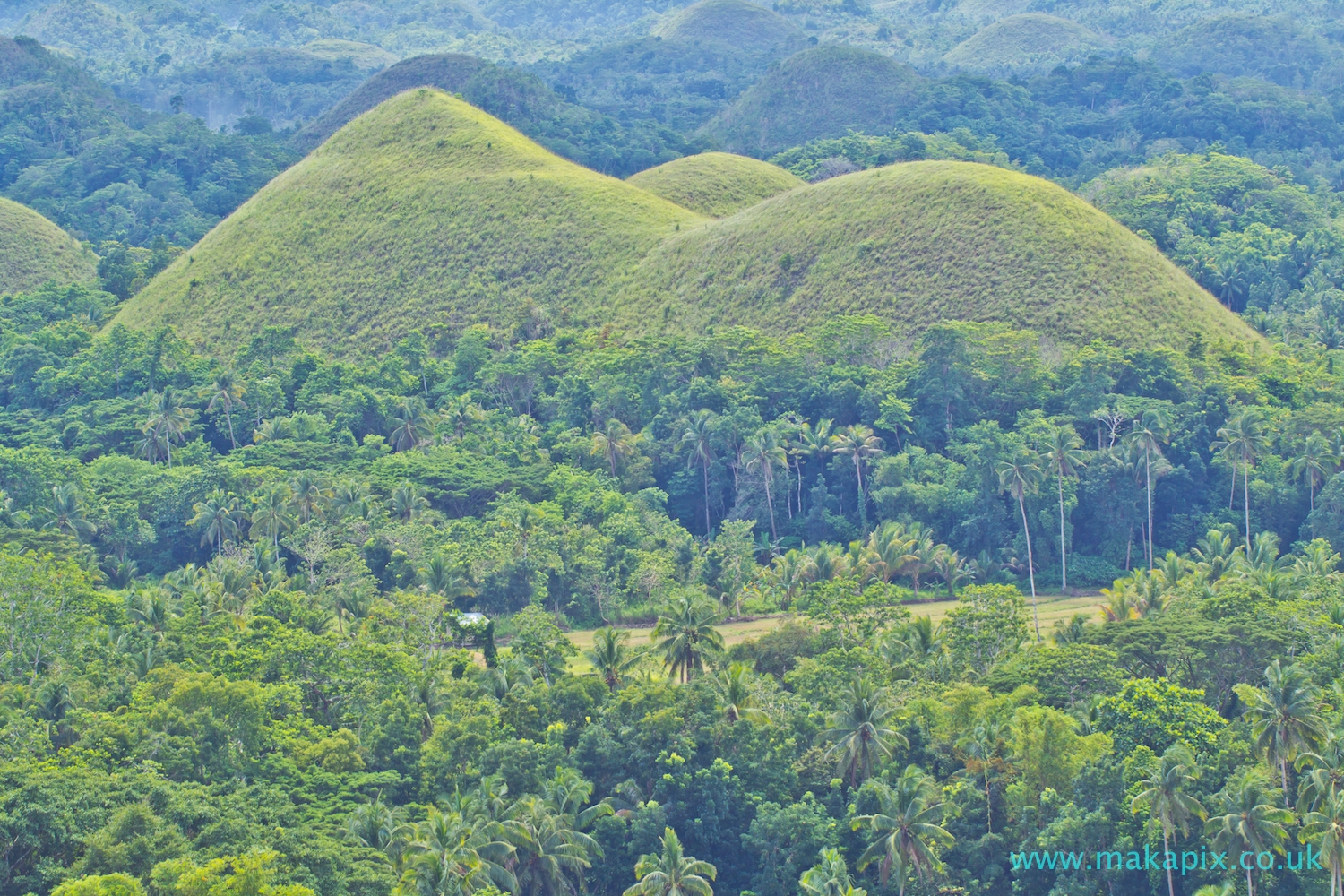 Chocolate Hills, Bohol