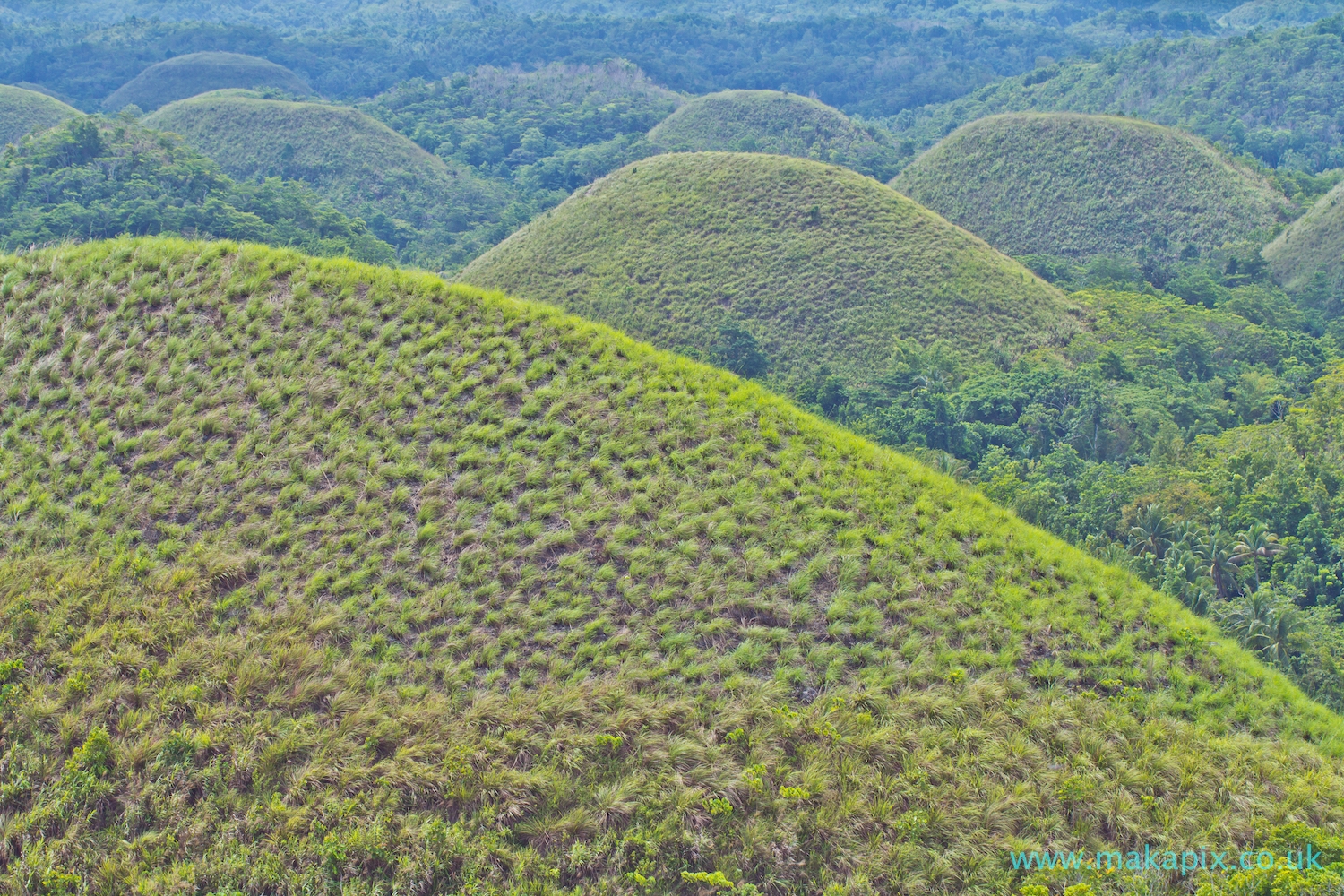 Chocolate Hills, Bohol