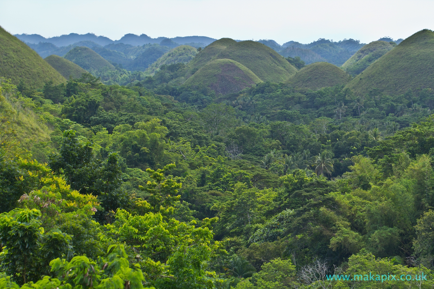 Chocolate Hills, Bohol