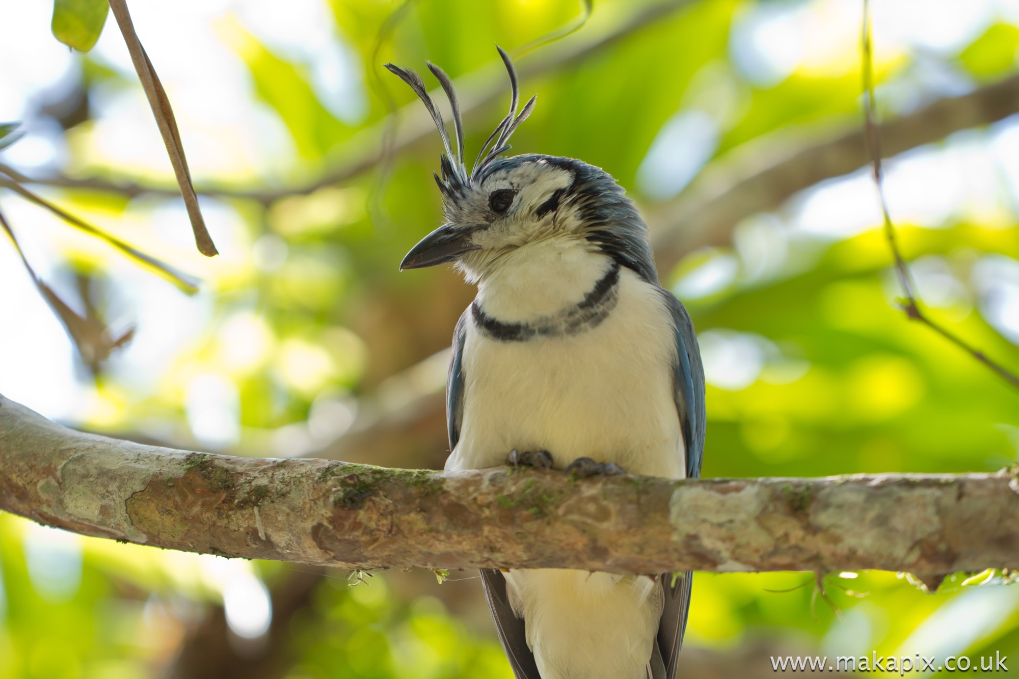 Costa Rica 2014