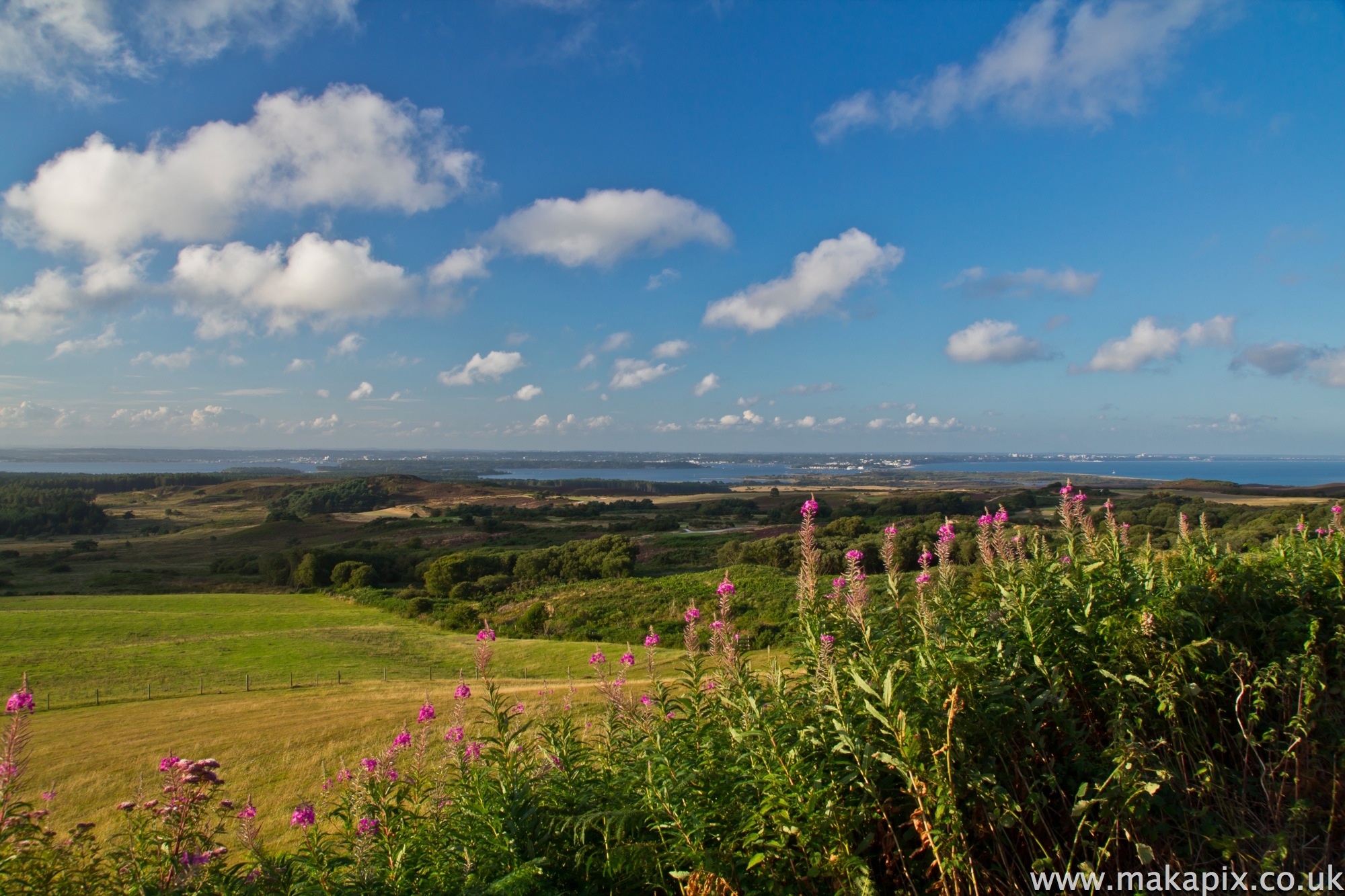 Studland