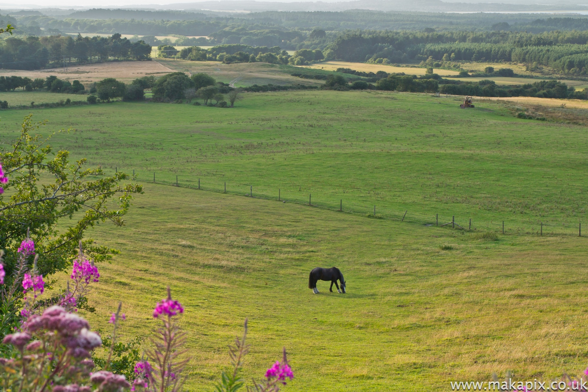 Studland