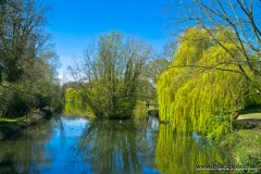 Parklands Open Space, Upminster, Essex, England