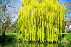 Parklands Open Space, Upminster, Essex, England