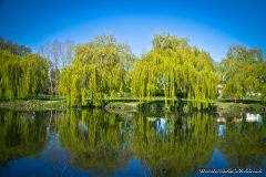 Parklands Open Space, Upminster, Essex, England