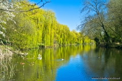 Parklands Open Space, Upminster, Essex, England