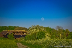 Moonrise in Upminster, Essex, England