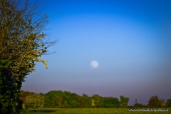 Moonrise in Upminster, Essex, England