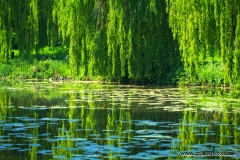 Parklands Open Space, Upminster, Essex, England