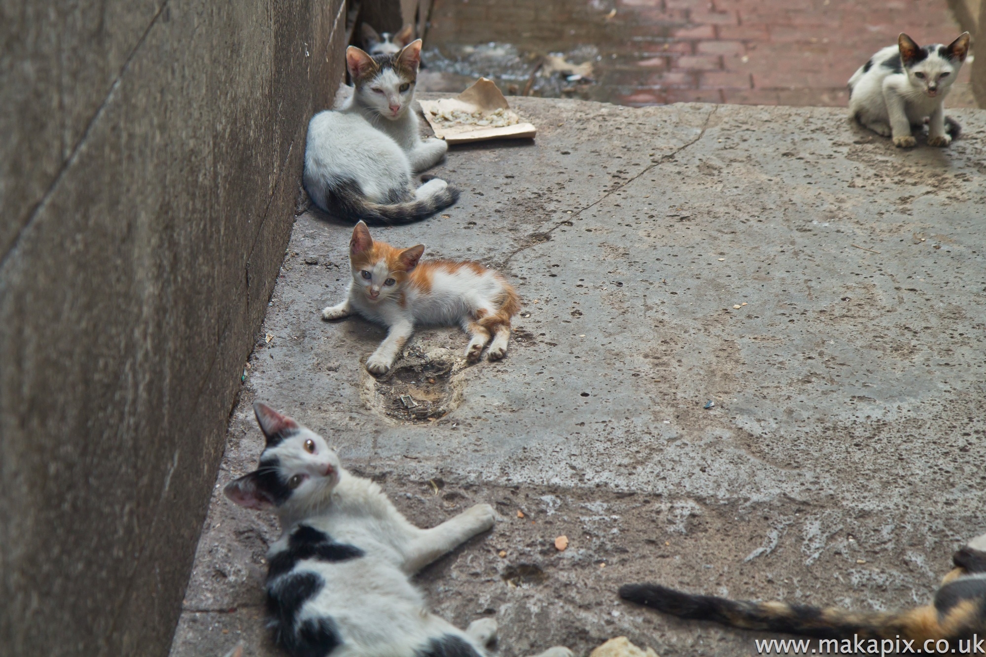 Streets of Havana