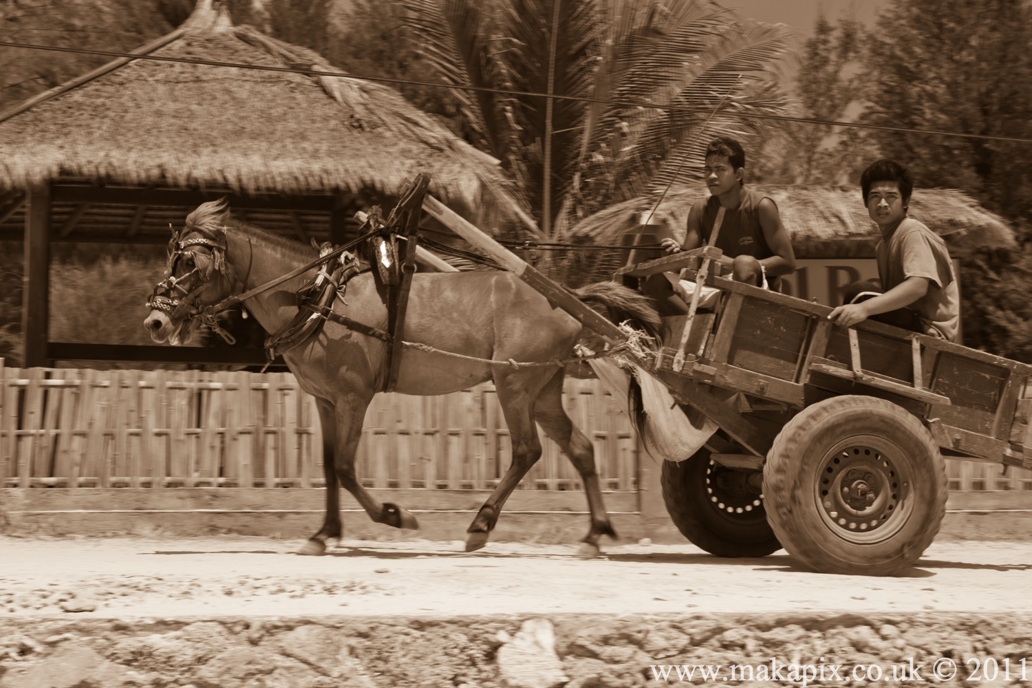 indonesia 2011 -mono