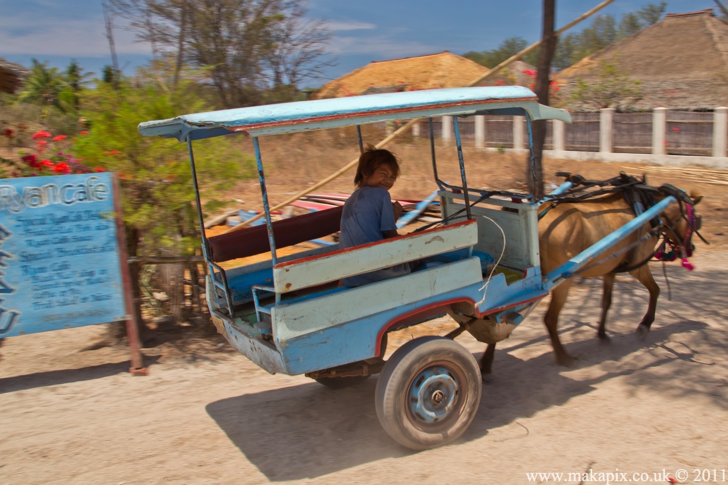 indonesia 2011 transport