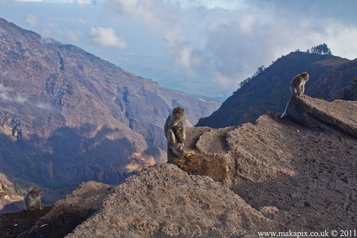 indonesia 2011 rinjani