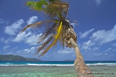 Anse Fourmis beach, La Digue island, Seychelles