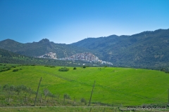 Moulay Idriss Zerhoun, the holiest city of Morocco