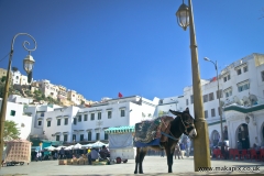 Moulay Idriss Zerhoun, the holiest city of Morocco