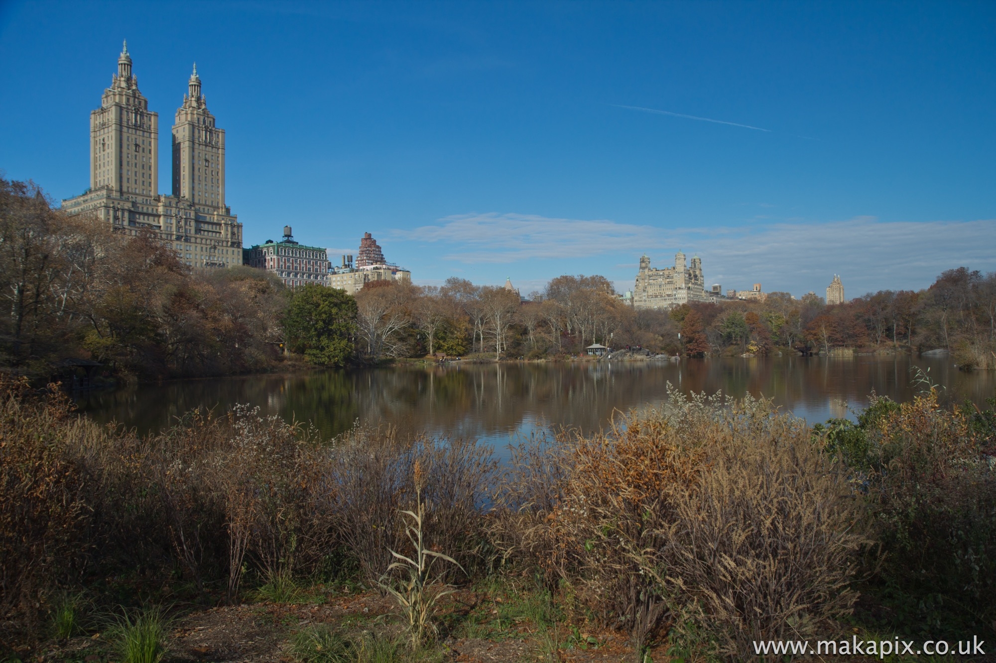 New York City- Central Park