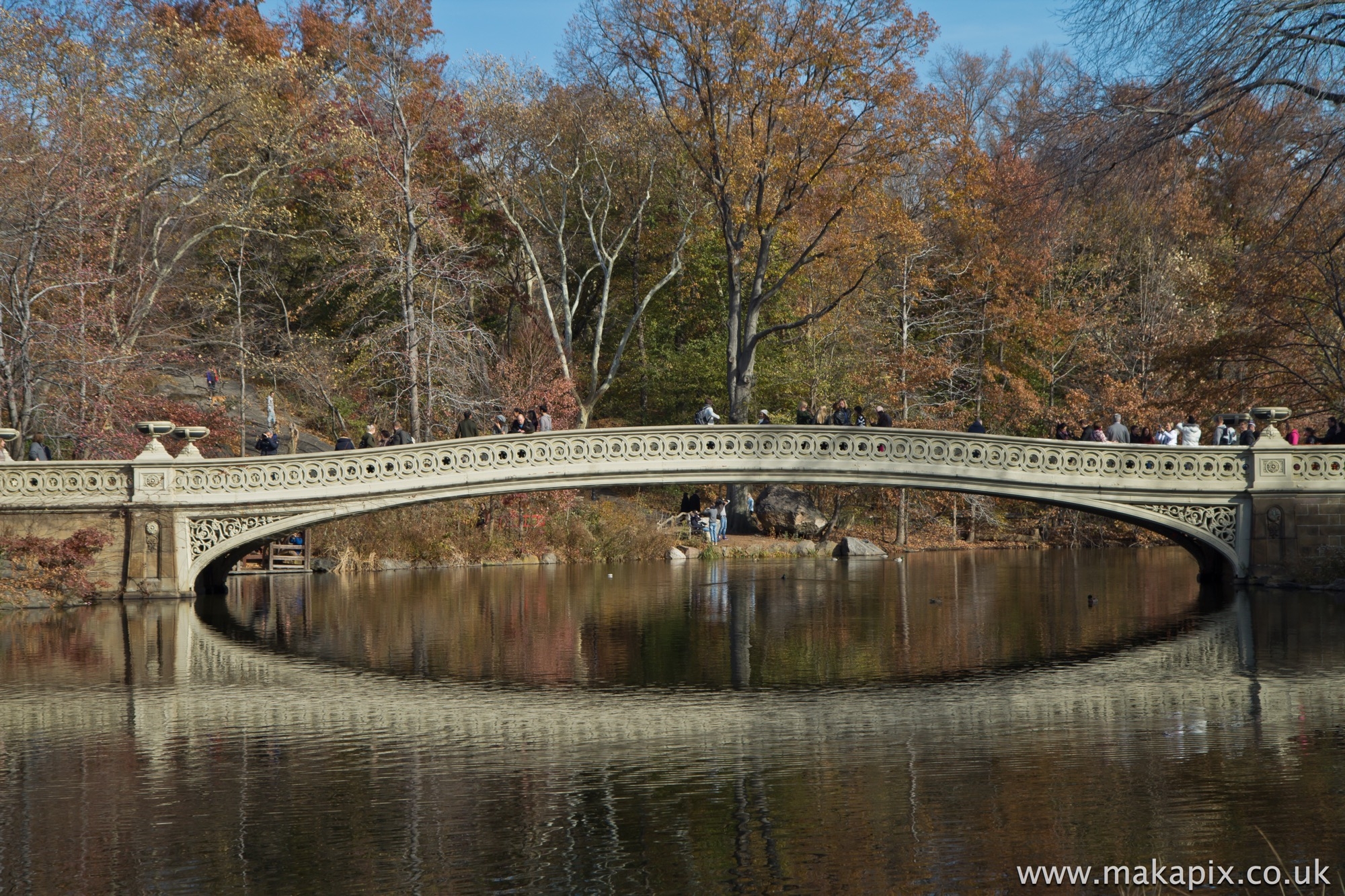 New York City- Central Park