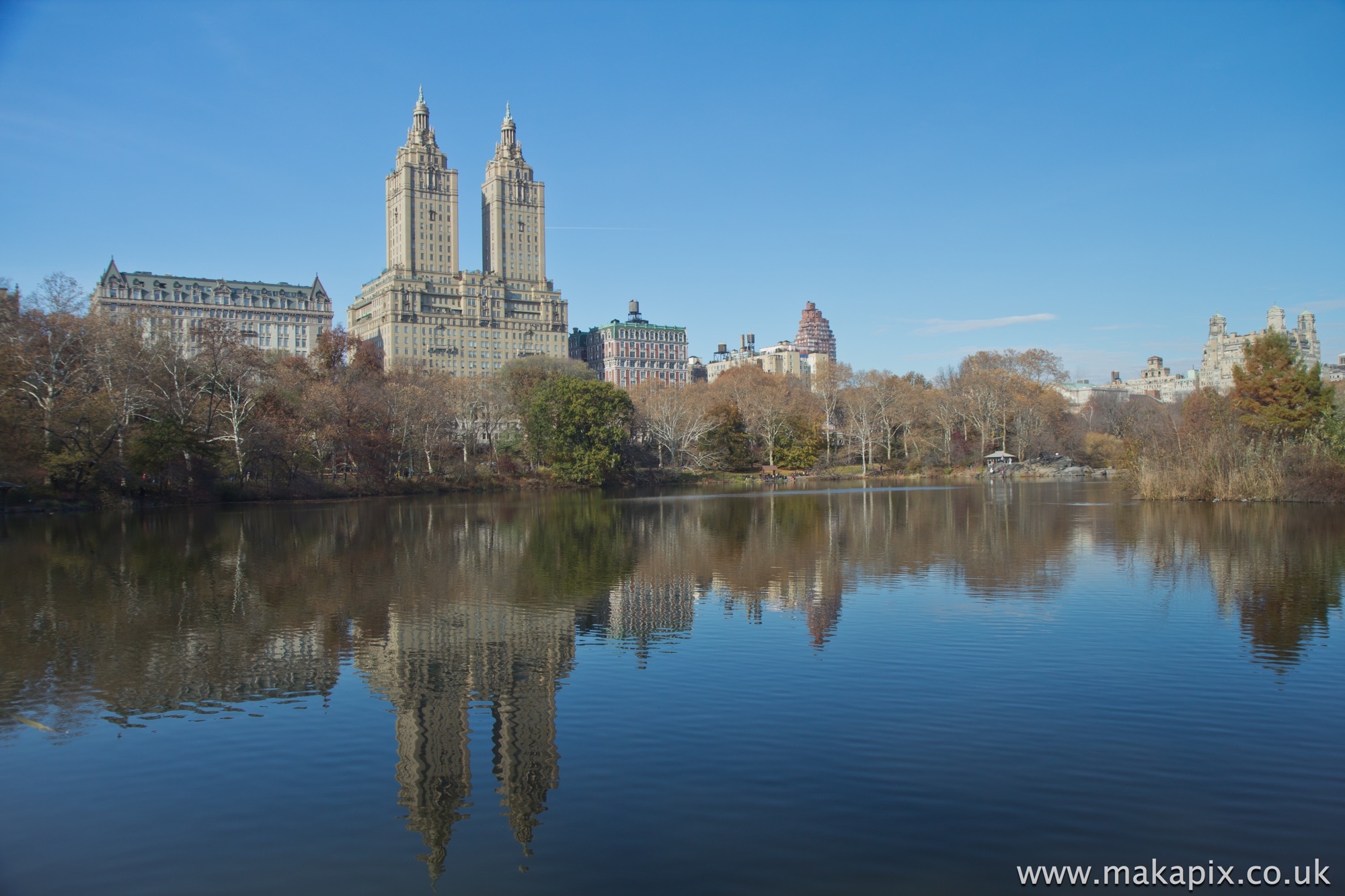 New York City- Central Park