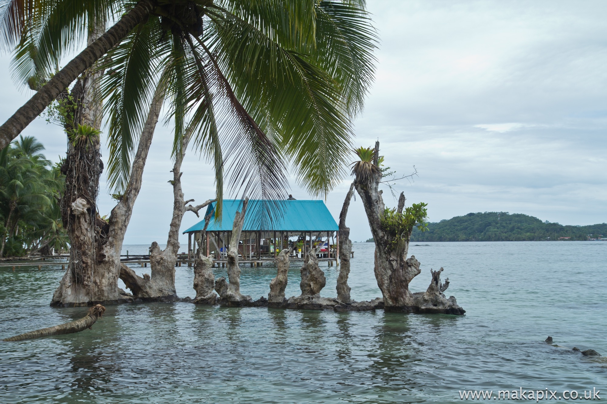 Bocas Del Toro, Panama 2014