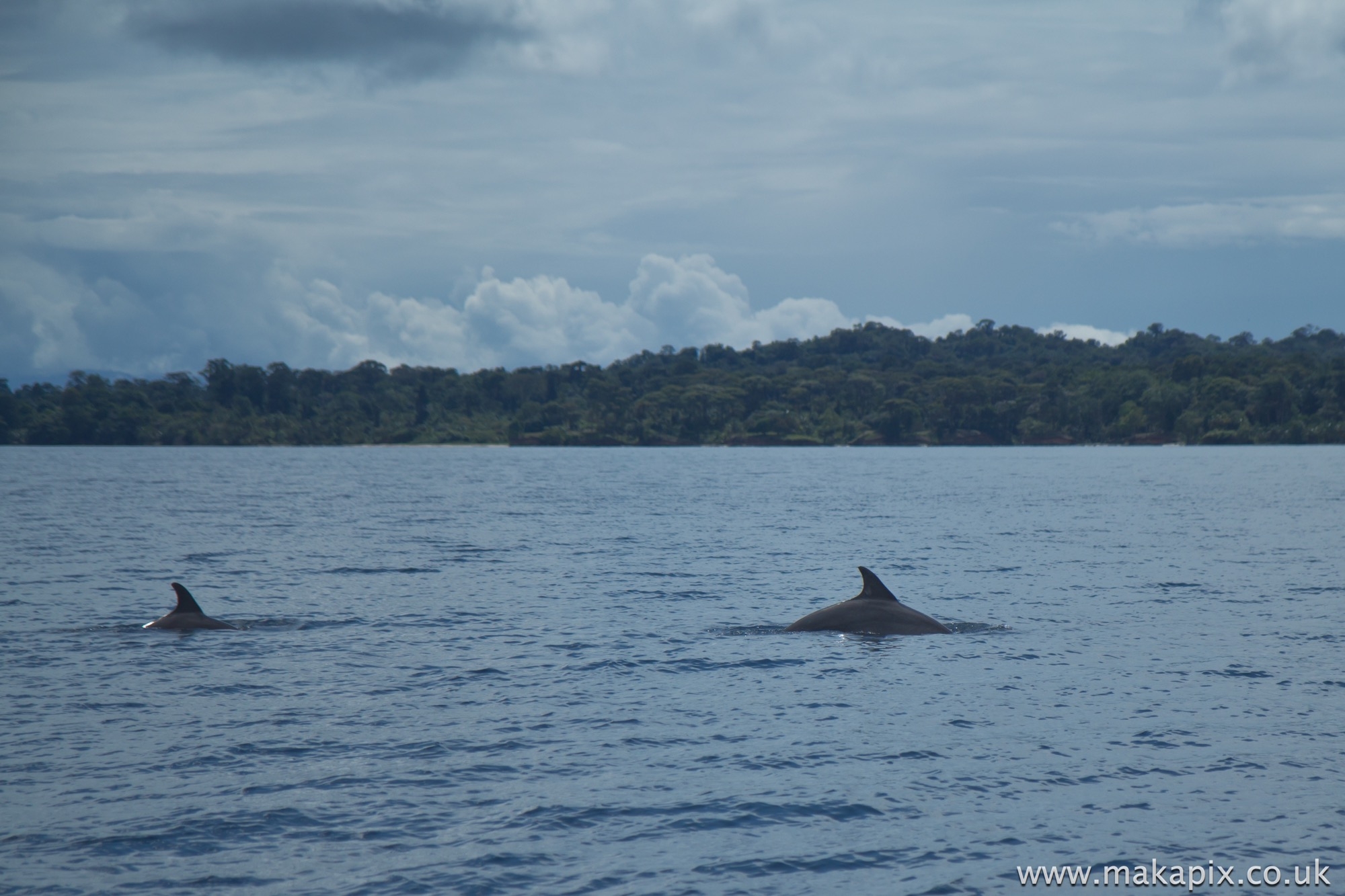 Bocas Del Toro, Panama 2014